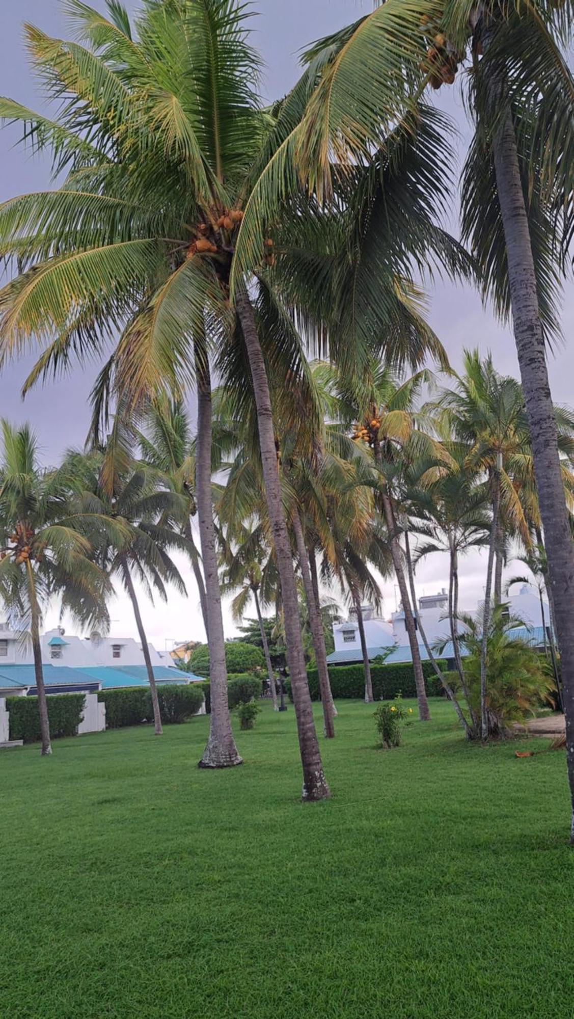 Peaceful And Private *